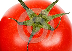 Red ripe tomato close-up