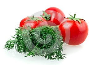 Red ripe tomato and dill