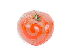 Red ripe tomato isolated