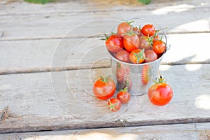 Red ripe tomato, new crop of fresh small cherry tomatoes