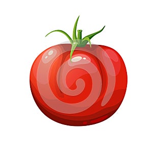 Red ripe tomato, vector icon, healthy vegetables.