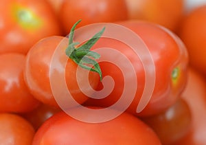 Red ripe tomatoes