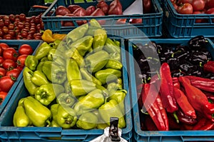 Red ripe tomatoes and colorful peppers to sell at the farmers market in autumn day in the blue plastic box with other