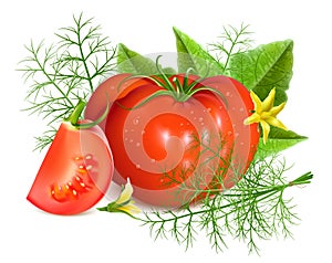 Red ripe tomatoes with dill.