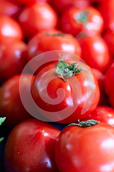 Red ripe tomatoes on farmets market close up