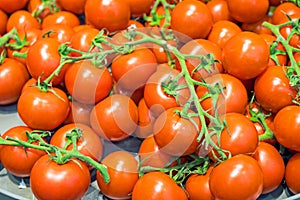 Red ripe tomatoes for sale