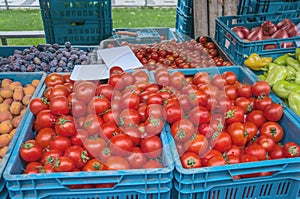 Red ripe tomatoes are sold at the farmer`s market on an autumn day in blue plastic boxes with other vegetables. Farmer`s market