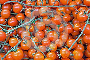 Red ripe tomatoes