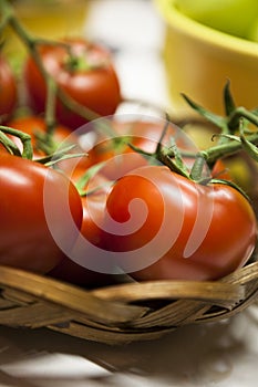 Red ripe tomatoes on the vine in a basket