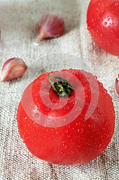 Red ripe tomatoes with water drops and garlic cloves on sacking