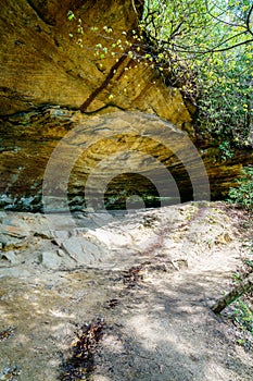 Red River Gorge rock formations