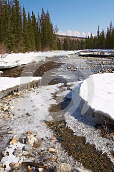 Red river, white ice and green firs.