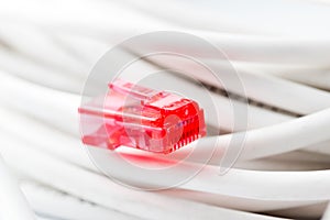 Red RJ45 Plug