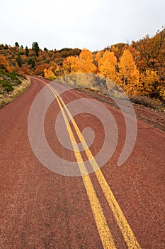 Red road in autumn scenery