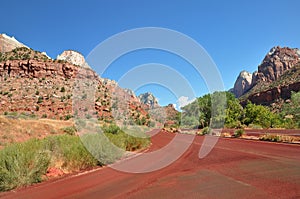 Red road in Zion USA