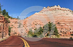 Red road through Zion National Park