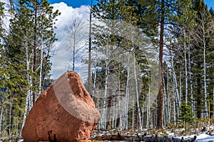 Red rock campground pike national forest colorado springs woodl