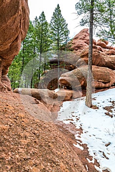 Red rock campground pike national forest colorado springs woodl