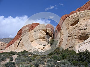 Red Rock Canyon #10