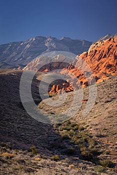 Red Rock Canyon 10