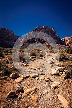 Red Rock Canyon 15