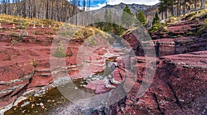 Red Rock Canyon in autumn foliage season morning.