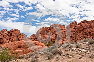 Red Rock Canyon - Close up view of rock formation of Aztec sandstone slickrock rock formation on the Calico Hills Tank Trail