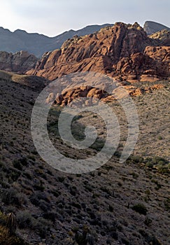 Red Rock Canyon, detail of red rocks, Las Vegas, Nevada.