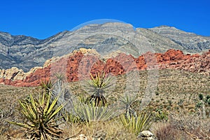 Red Rock Canyon in Las Vegas