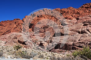 Red Rock Canyon in Las Vegas