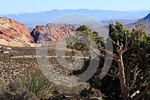 Red Rock Canyon in Las Vegas