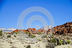 Red Rock Canyon in Las Vegas