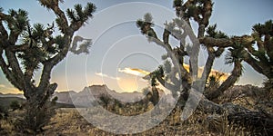 Red rock canyon las vegas nevada at sunset