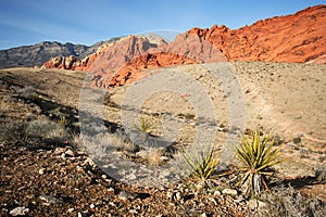 A Red Rock Canyon National Conservation Area