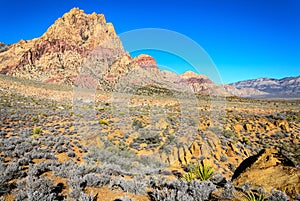 Red Rock Canyon National Conservation Area