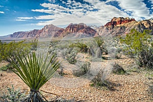 Red Rock Canyon National Conservation Area