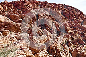 Red Rock Canyon National Conservation Area