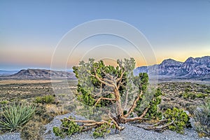 The Red Rock Canyon National Conservation Area in Nevada