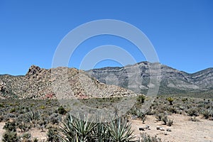 Red Rock Canyon National Conservation Area, Nevada