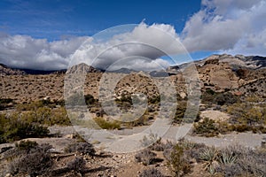 Red Rock Canyon National Conservation Area in Nevada