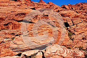 Red Rock Canyon National Conservation Area, Nevada, United State