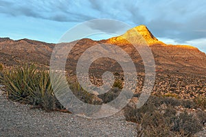 Red Rock Canyon National Conservation Area.View from High Point Overlook at sunset.Nevada.USA