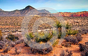 Red Rock Canyon, Nevada