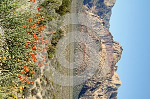 Red rock canyon Nevada