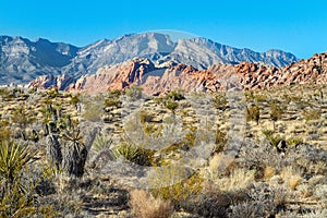 Red Rock Canyon, Nevada