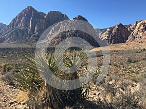 Red Rock Canyon, Nevada in November.