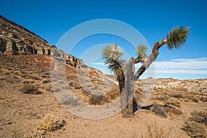 Red Rock Canyon State park, California