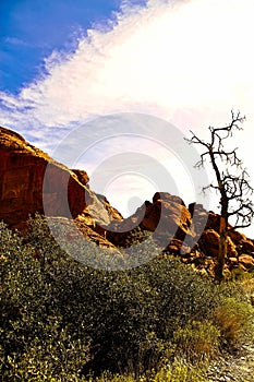 Red Rock Canyon State Park features scenic desert cliffs, buttes and spectacular rock formations