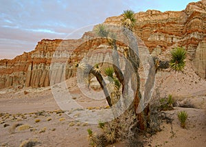 Red Rock Canyon State Park