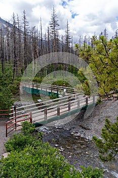Red Rock Canyon in Waterton Lakes National Park Canada - bridge leading to hiking trails photo